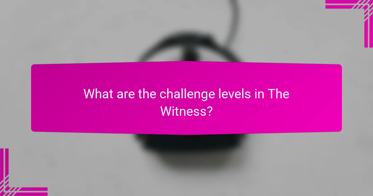 What are the challenge levels in The Witness?