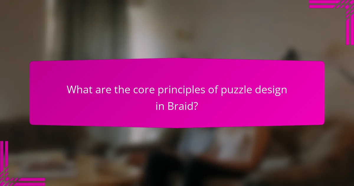 What are the core principles of puzzle design in Braid?