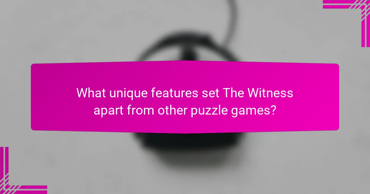 What unique features set The Witness apart from other puzzle games?