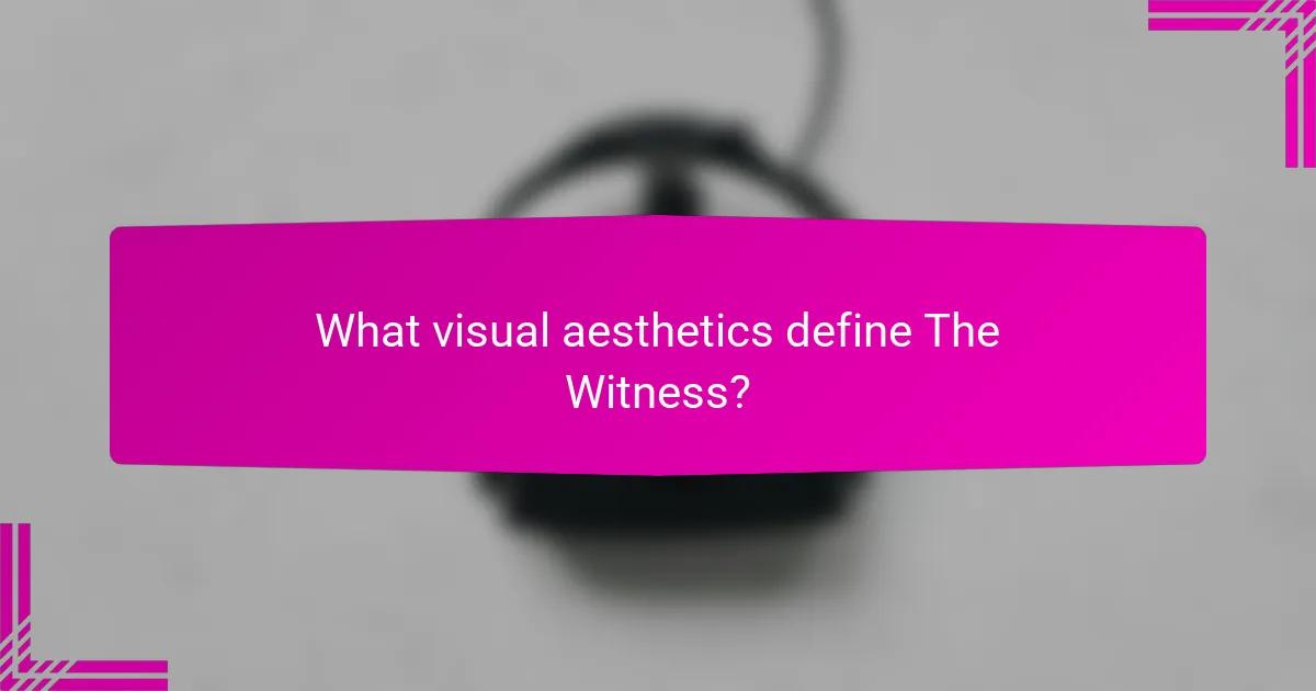 What visual aesthetics define The Witness?